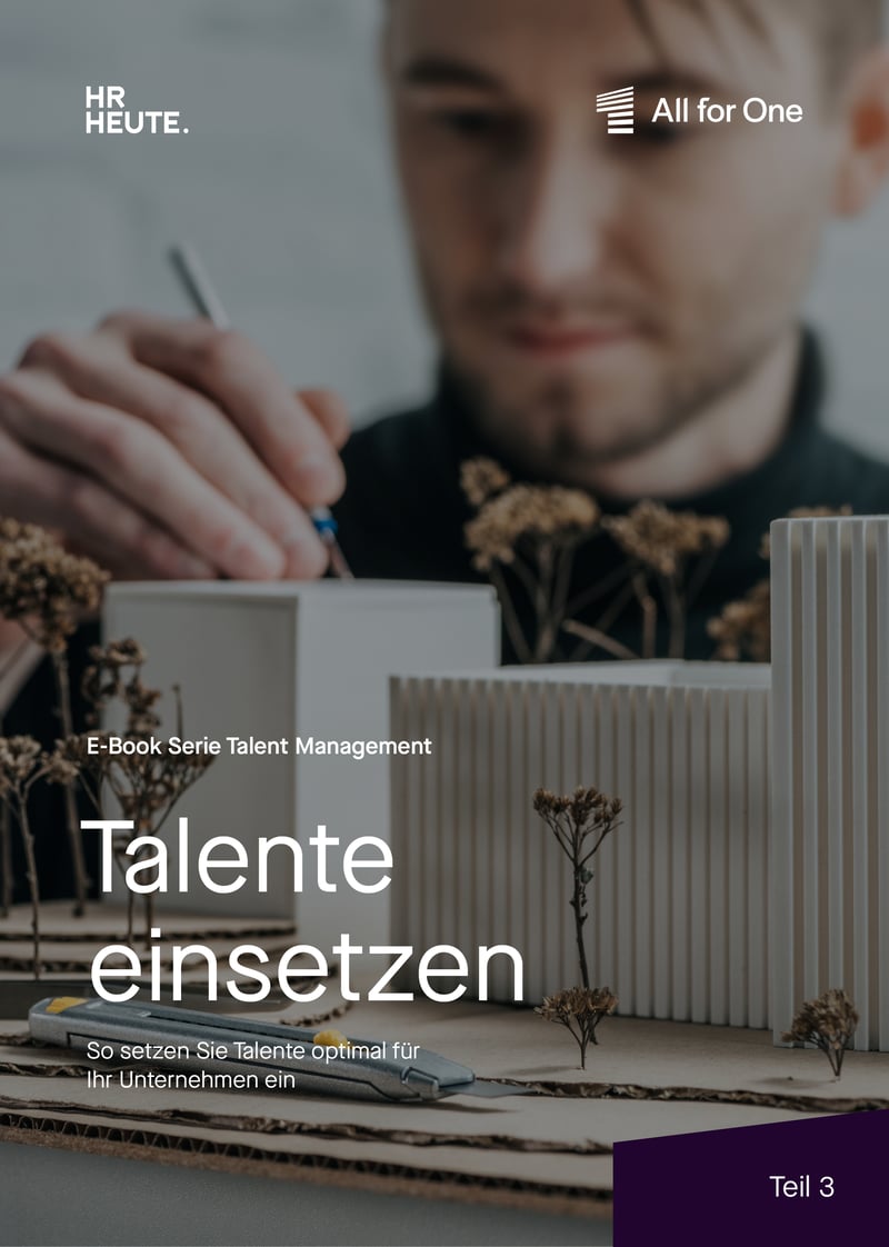 E-Book: Talent Management – Teil 3 - Talente sinnvoll einsetzen cover