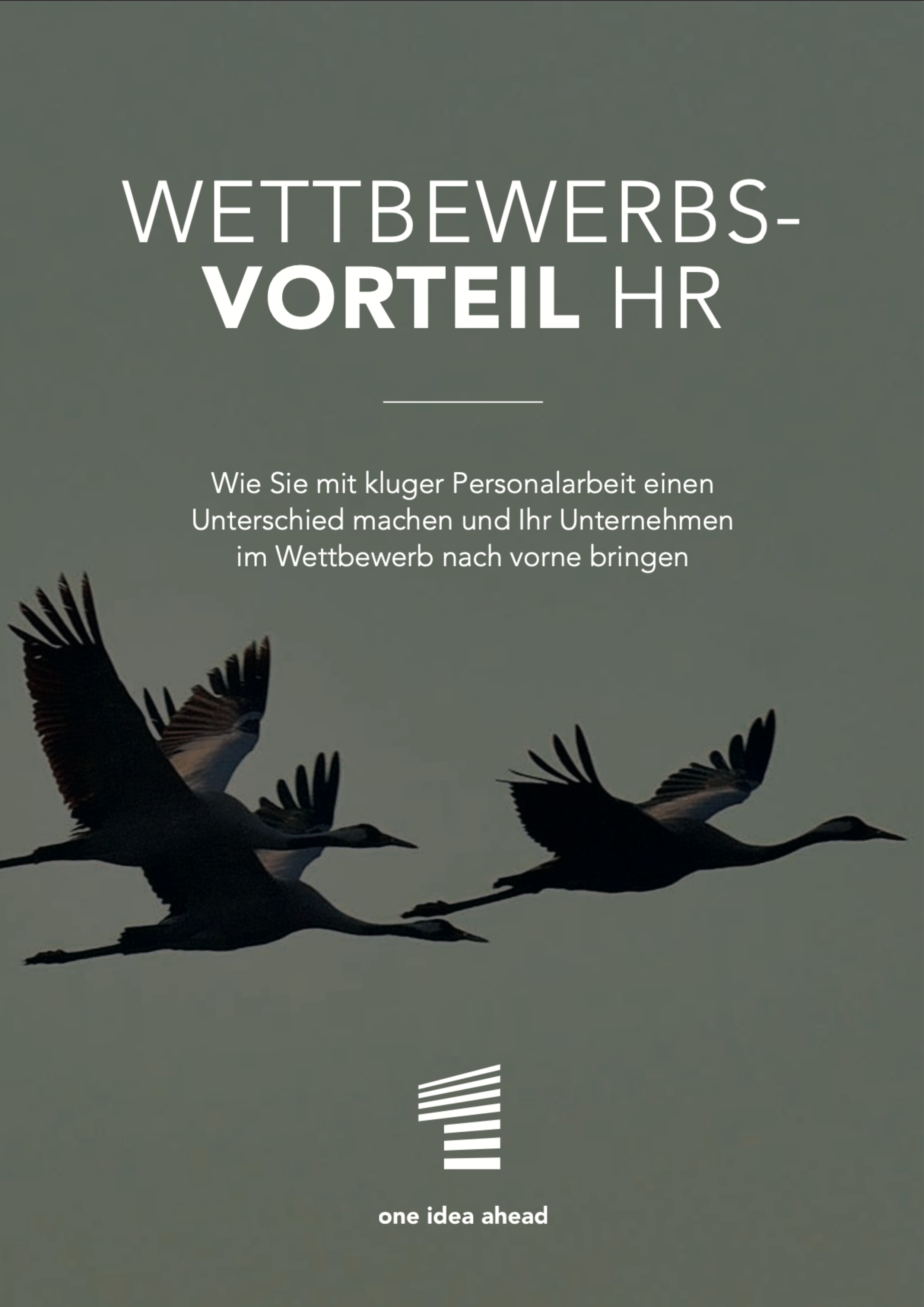 Cover vom E-Book Wettbewerbsvorteil HR